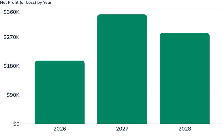 Net Profit (or Loss) by Year