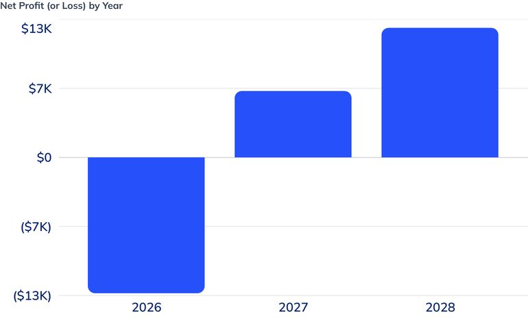 Net Profit (or Loss) by Year