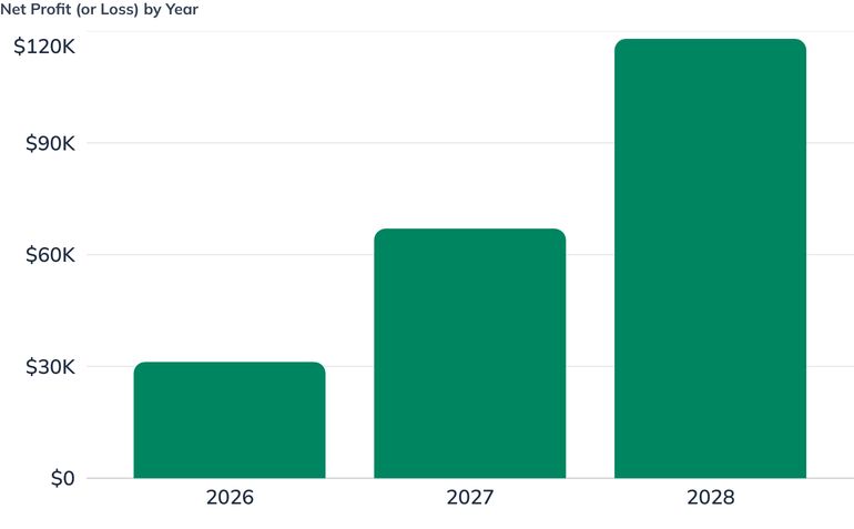 Net Profit (or Loss) by Year