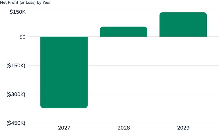 Net Profit (or Loss) by Year