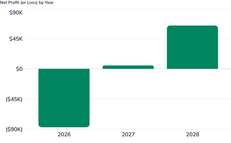 Net Profit (or Loss) by Year