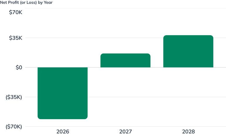 Net Profit (or Loss) by Year