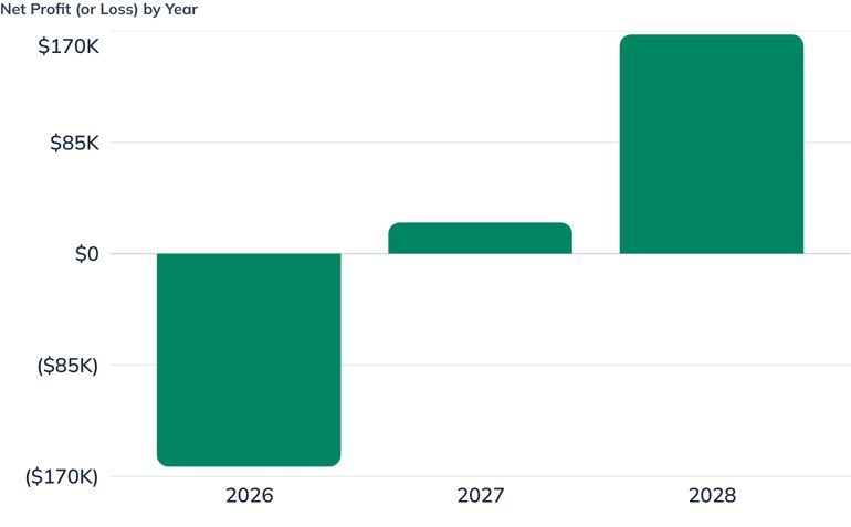 Net Profit (or Loss) by Year