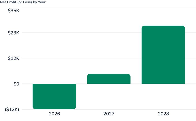 Net Profit (or Loss) by Year