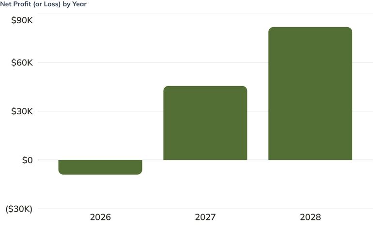 Net Profit (or Loss) by Year