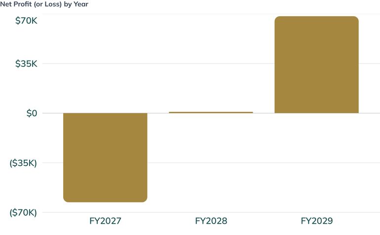 Net Profit (or Loss) by Year