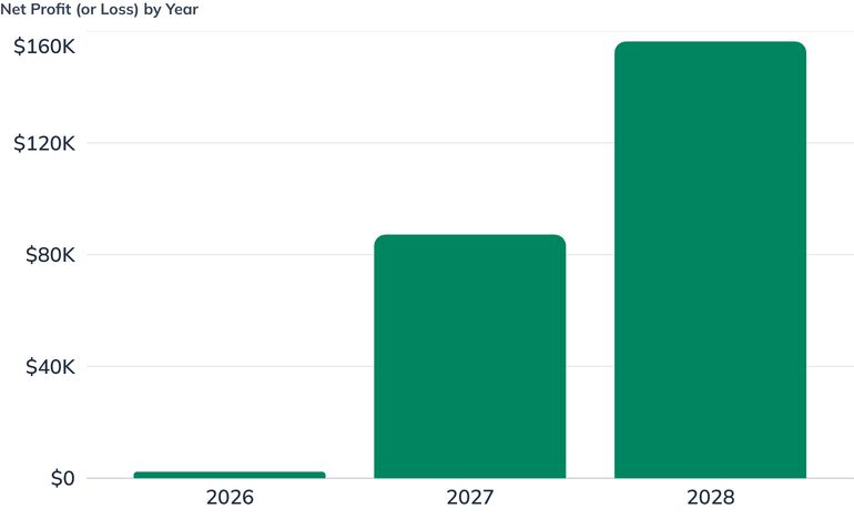 Net Profit (or Loss) by Year