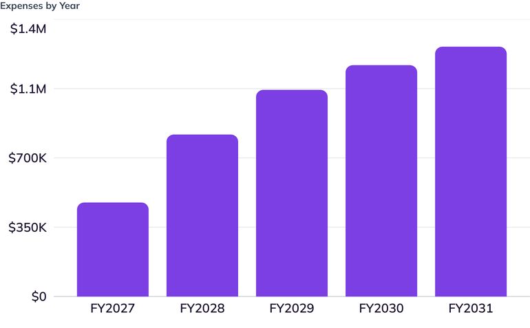 Expenses by Year