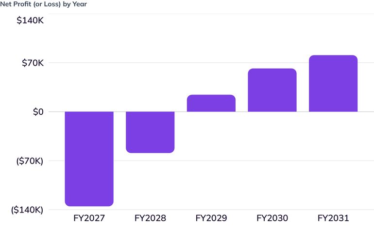 Net Profit (or Loss) by Year