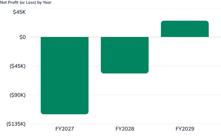 Net Profit (or Loss) by Year