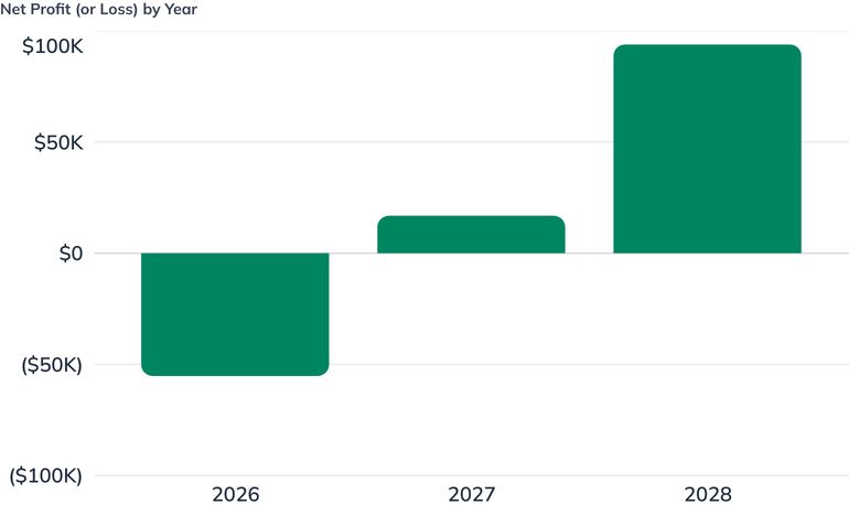 Net Profit (or Loss) by Year