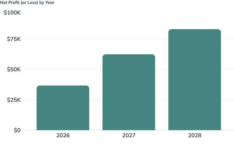 Net Profit (or Loss) by Year