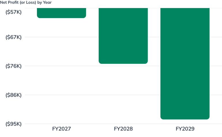 Net Profit (or Loss) by Year