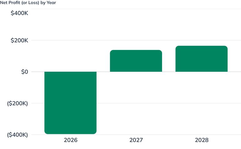 Net Profit (or Loss) by Year