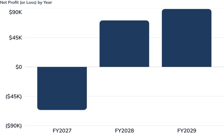 Net Profit (or Loss) by Year