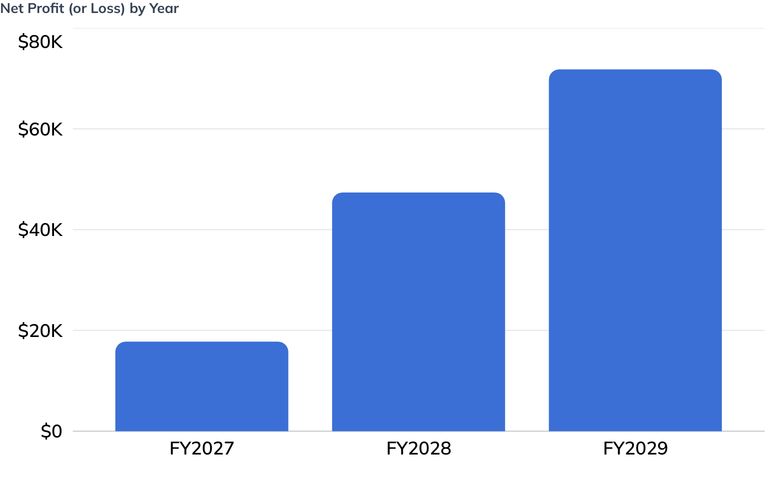 Net Profit (or Loss) by Year