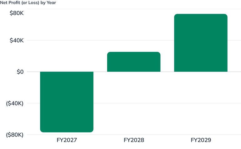 Net Profit (or Loss) by Year