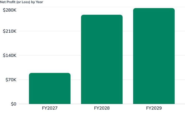 Net Profit (or Loss) by Year