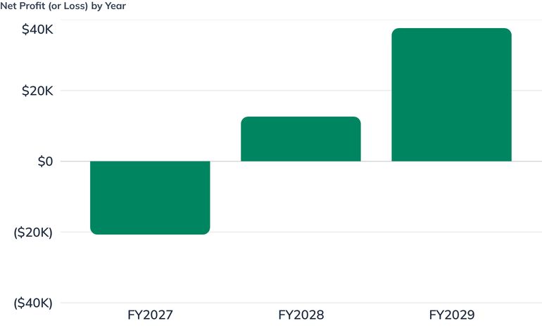 Net Profit (or Loss) by Year
