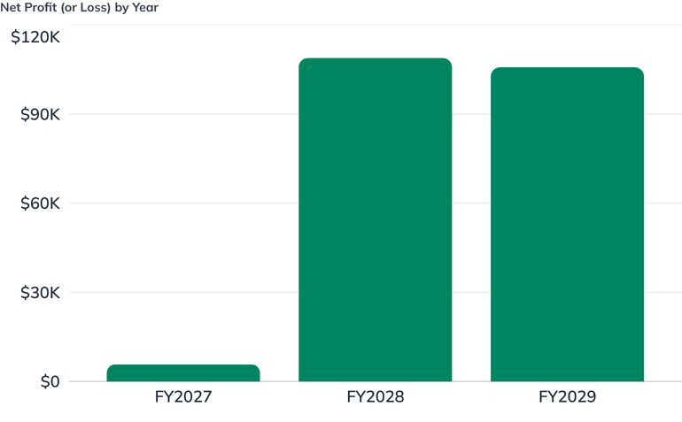 Net Profit (or Loss) by Year