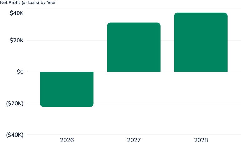 Net Profit (or Loss) by Year