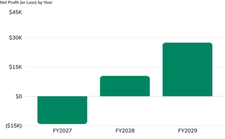 Net Profit (or Loss) by Year