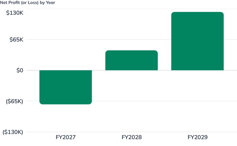 Net Profit (or Loss) by Year