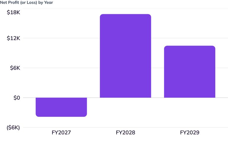 Net Profit (or Loss) by Year