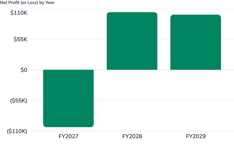 Net Profit (or Loss) by Year