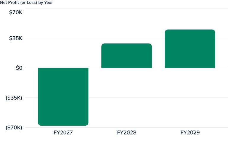 Net Profit (or Loss) by Year