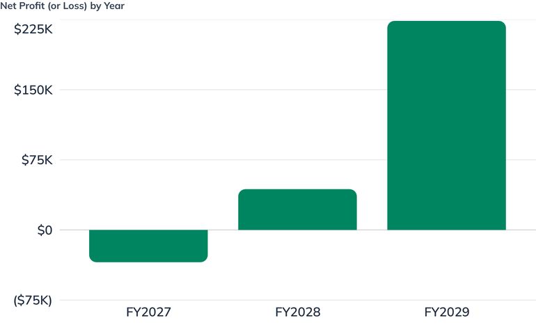 Net Profit (or Loss) by Year