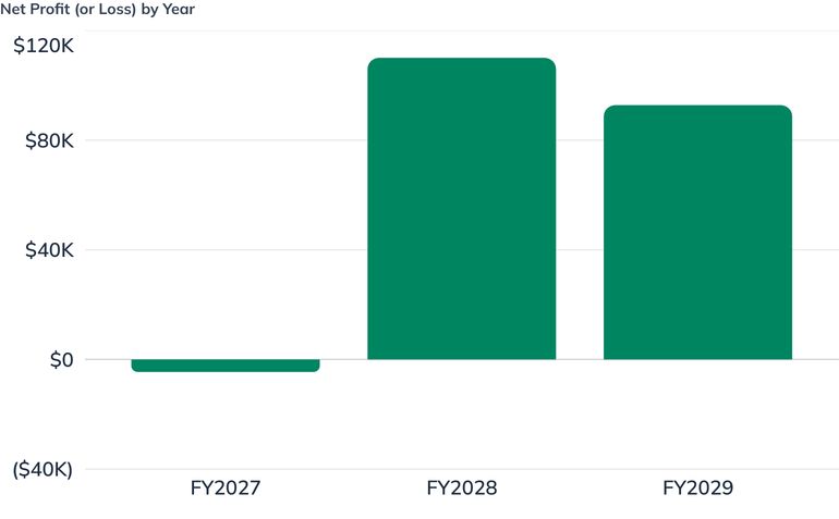 Net Profit (or Loss) by Year