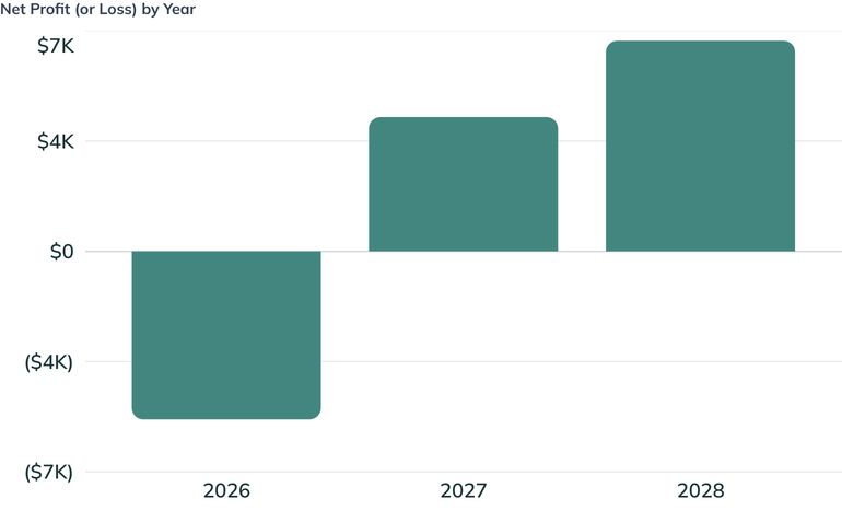 Net Profit (or Loss) by Year