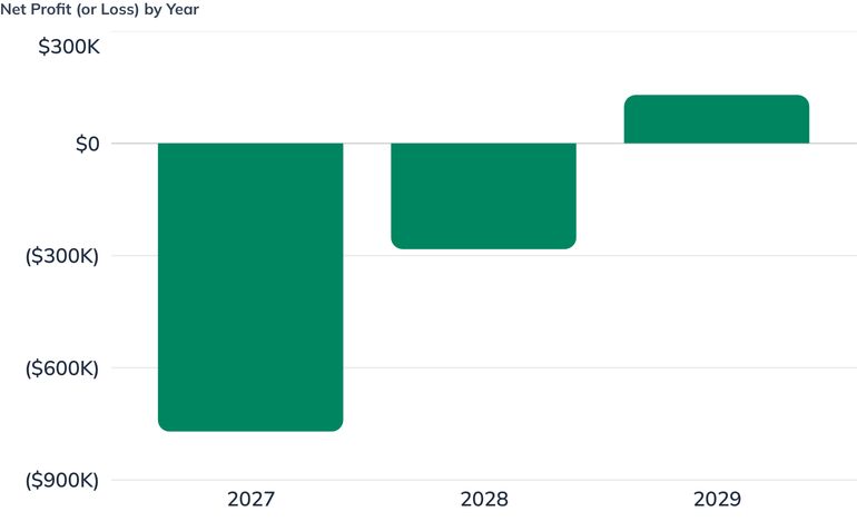 Net Profit (or Loss) by Year