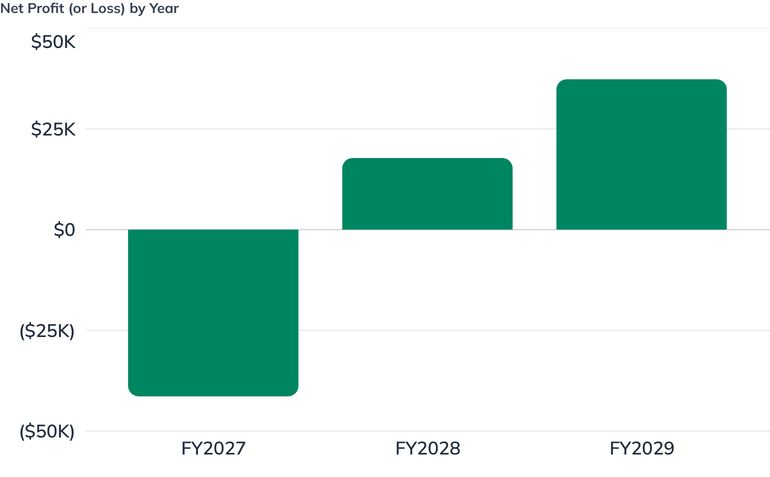 Net Profit (or Loss) by Year