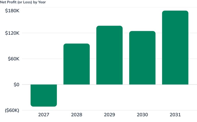 Net Profit (or Loss) by Year