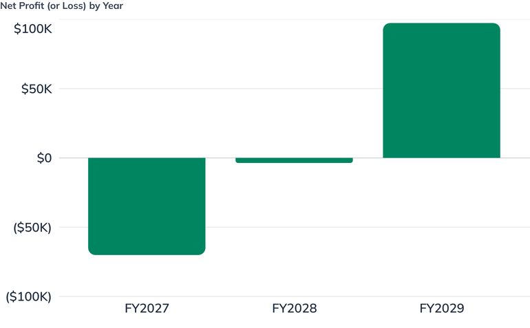 Net Profit (or Loss) by Year