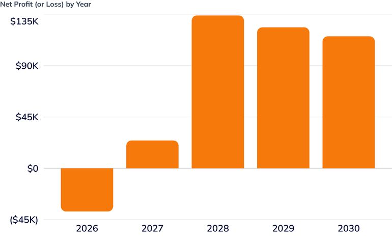 Net Profit (or Loss) by Year