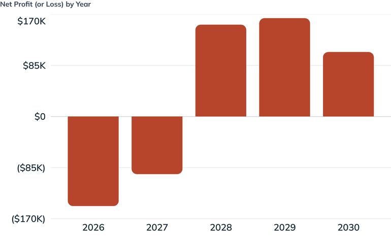 Net Profit (or Loss) by Year