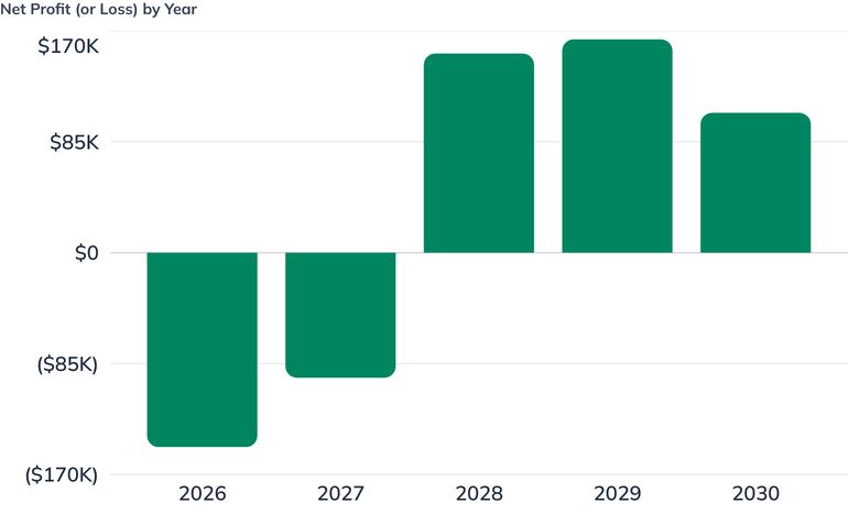 Net Profit (or Loss) by Year