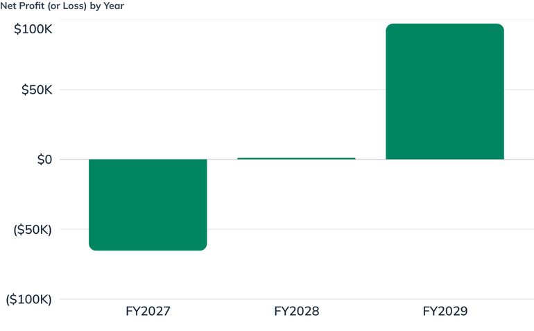 Net Profit (or Loss) by Year