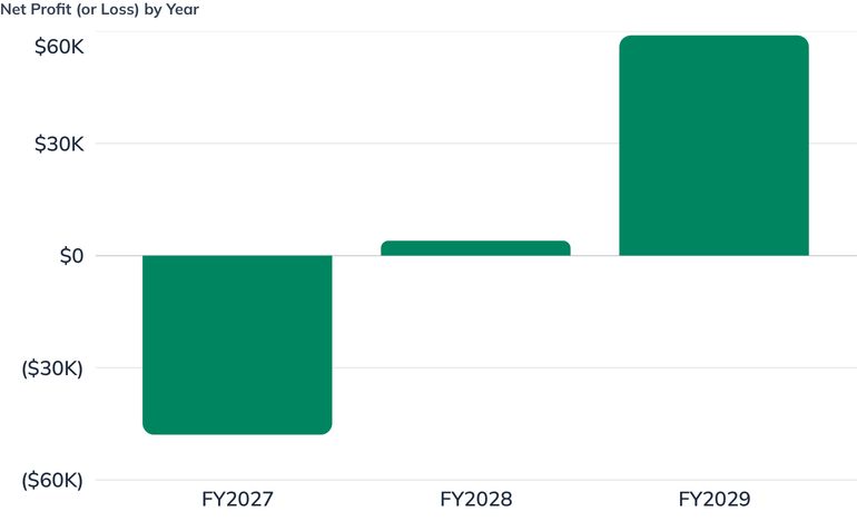Net Profit (or Loss) by Year