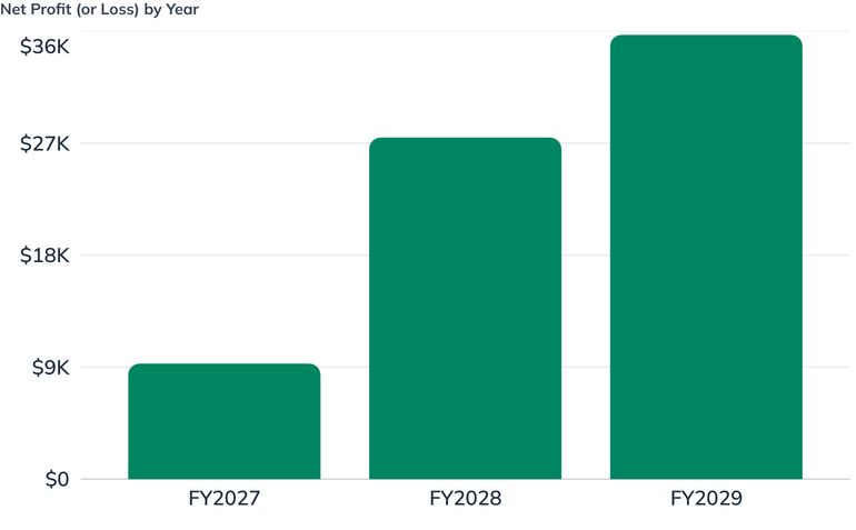 Net Profit (or Loss) by Year
