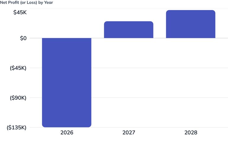 Net Profit (or Loss) by Year
