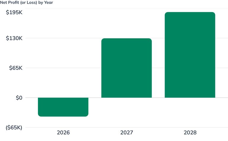 Net Profit (or Loss) by Year