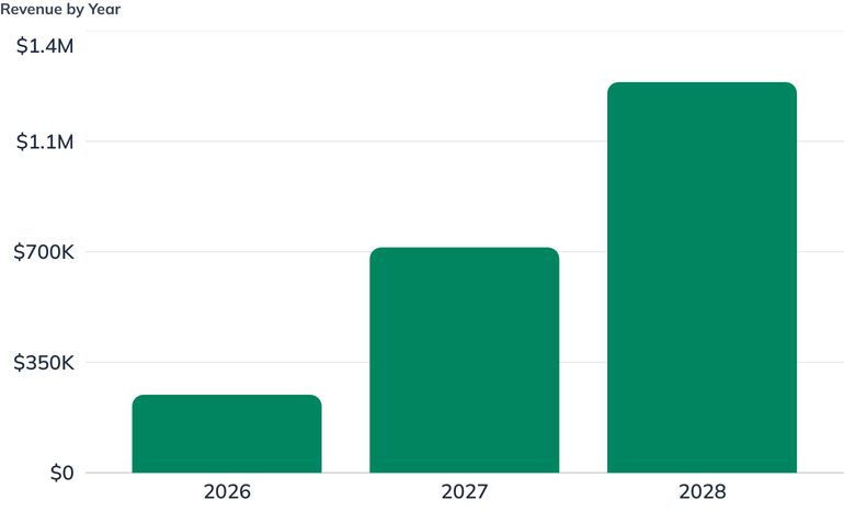 Revenue by Year