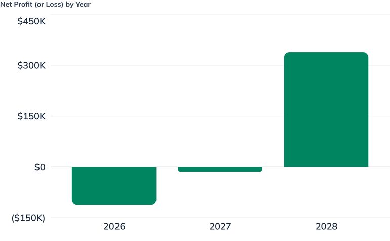Net Profit (or Loss) by Year