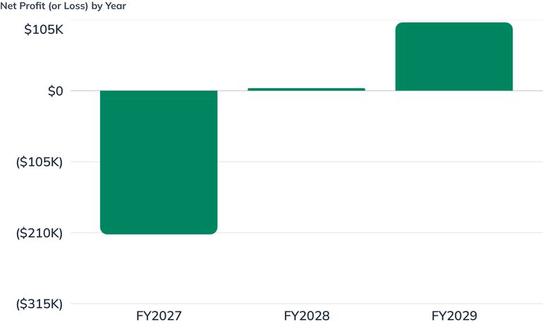 Net Profit (or Loss) by Year