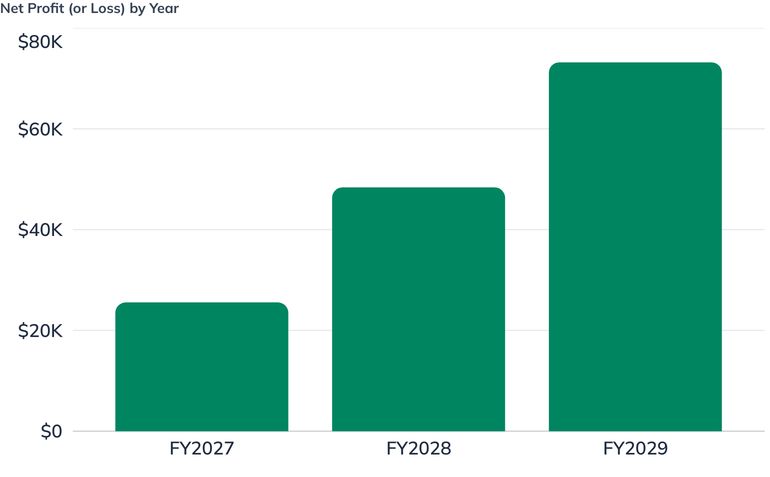 Net Profit (or Loss) by Year