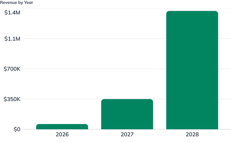 Revenue by Year